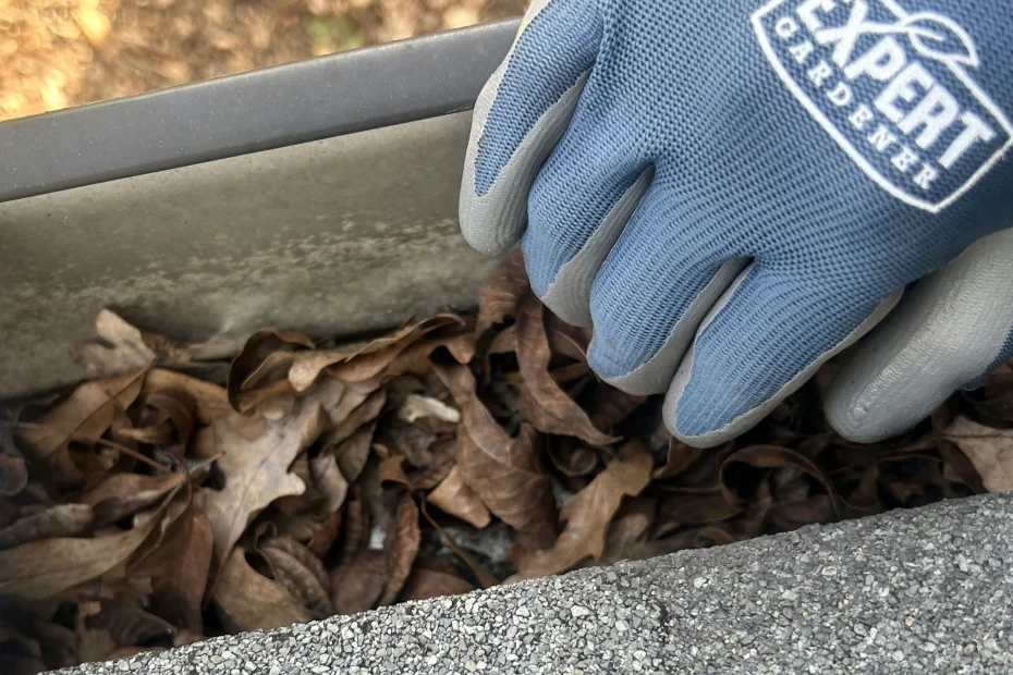 Gutter Cleaning Rustburg