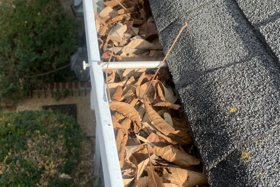 Gutter Cleaning Rustburg