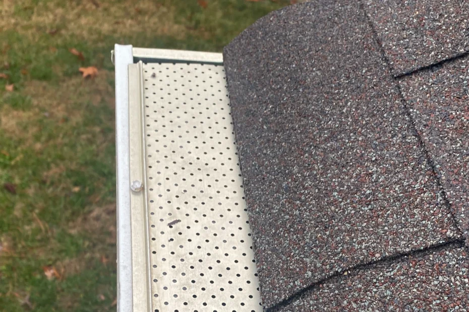 Gutter Cleaning Rustburg